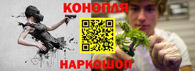 прущие грибы Кингисепп