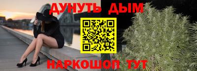 прущие грибы Кингисепп