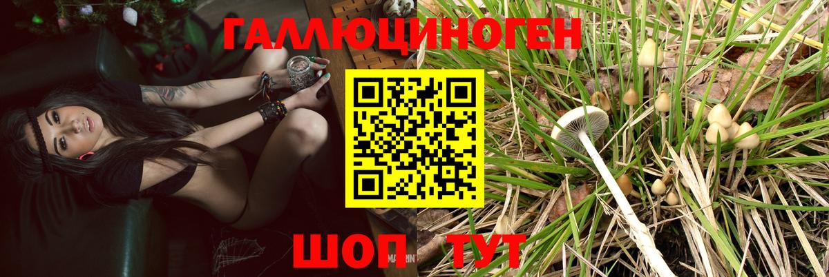 Галлюциногенные грибы MAGIC MUSHROOMS Кохма